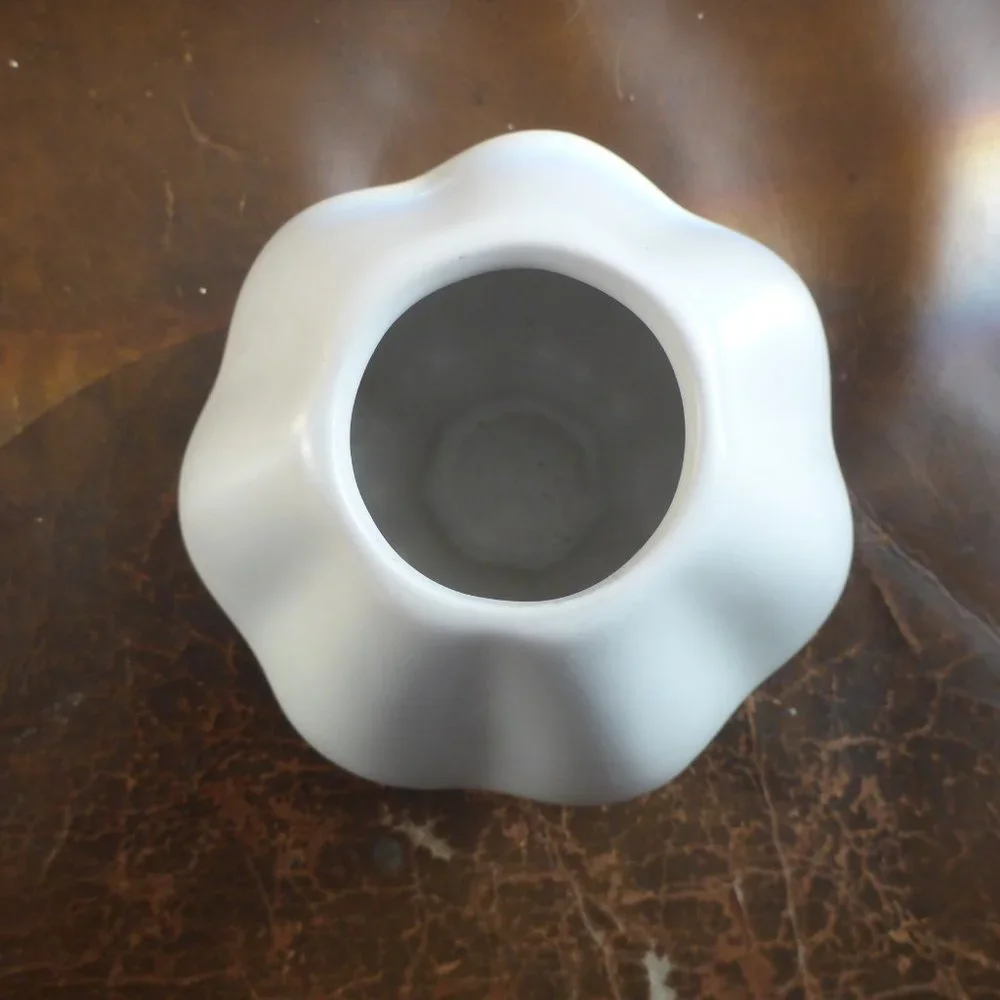 Small Uniuely Shaped Ikea Vase
